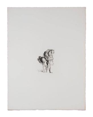 [Plate 17]  from Les chants de Maldoror