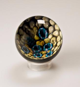 Blue Murrine on Anemone Field