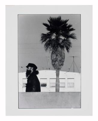 Bearded Man with Tree, Venice, U.S.A.