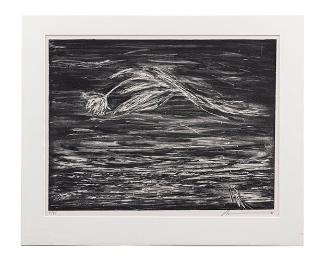 Plate #16 from Parsifal