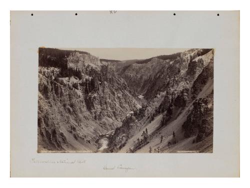 Grand Canyon, from the Brink, Yellowstone National Park, Wyoming