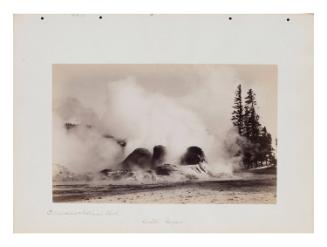 Grotto Geyser, Yellowstone National Park, Wyoming