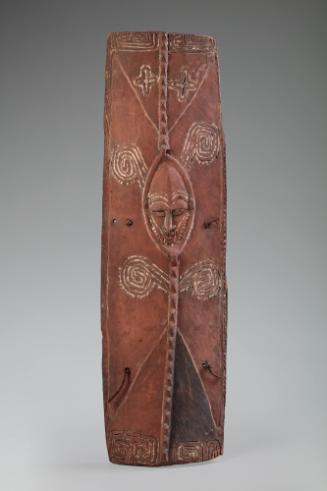 Shield
