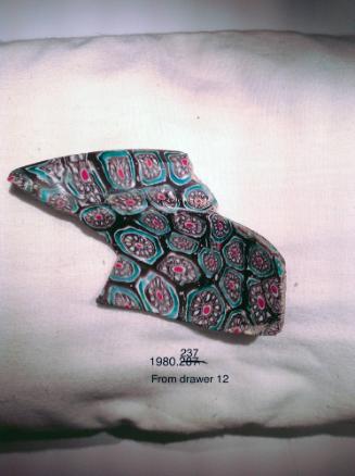 Fragment of bowl (Patella)