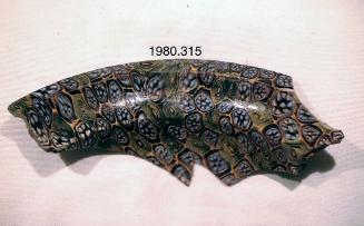 Fragment of Bowl (Patella)