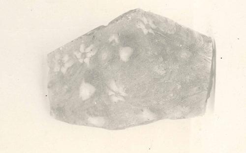 Fragment of Floral Plaque