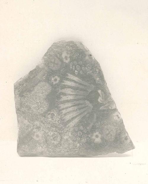Fragment of Floral Plaque