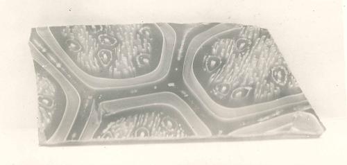 Fragment of mosaic glass