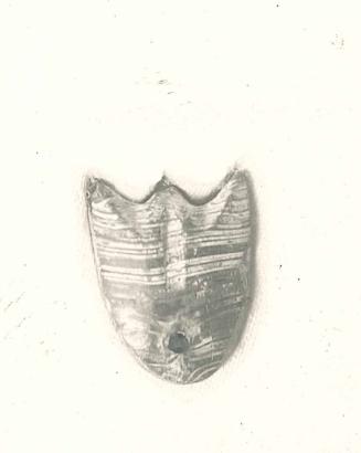 Pendant in the Shape of a Cicada
