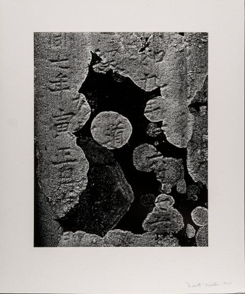 Headstone and Lichen, Japan