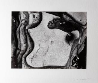 Rock Formation, Point Lobos, California